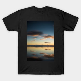 North Bull Island Dusk T-Shirt